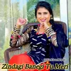 About Zindagi Banegi Tu Meri Song